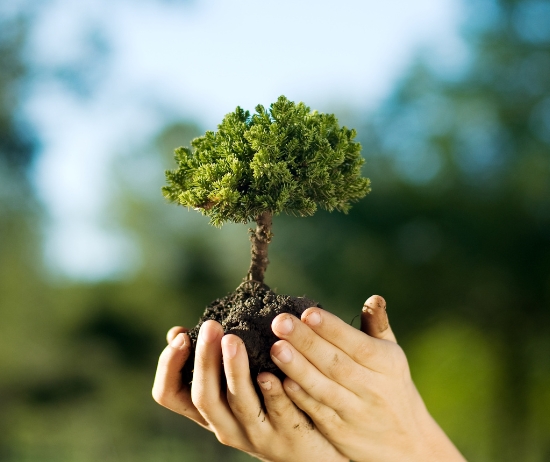 Agora você já pode contar com toda a tranquilidade do Seguro de Responsabilidade Civil Ambiental por Danos Causados ao Meio Ambiente e a Terceiros. Este seguro Este seguro é destinado às empresas que possuam sistemas de gestão ambiental e querem seguro.